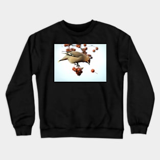 Bohemian Waxwing Crewneck Sweatshirt